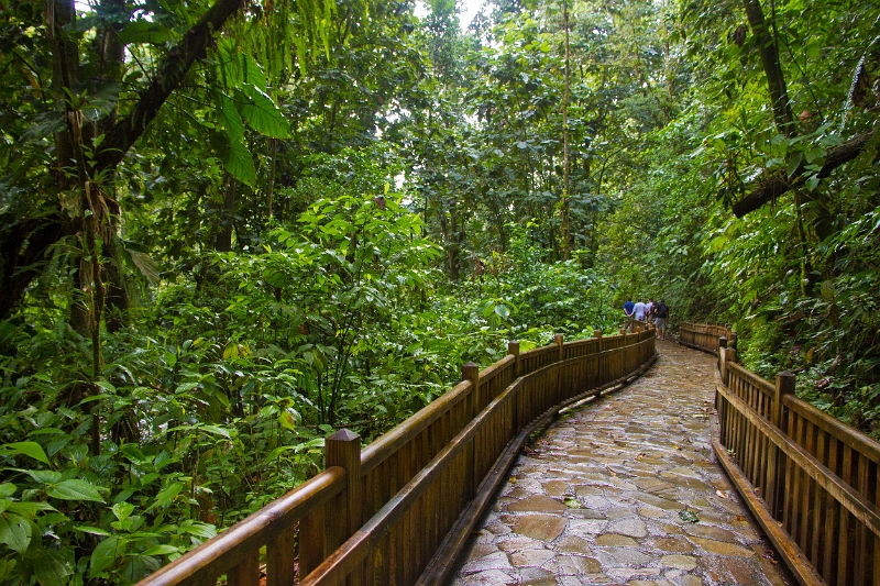 Path leading to the Cascade aux Écrevisses